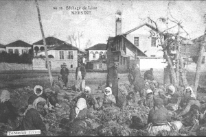 Huğdan Gökdelene (223)