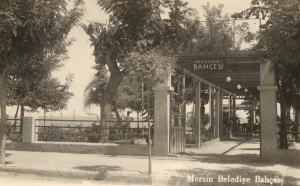 Huğdan Gökdelene (231)