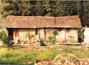 Huğdan Gökdelene (233)