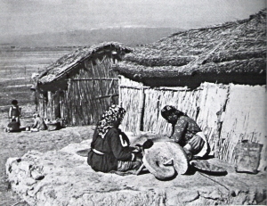 Huğdan Gökdelene (235)