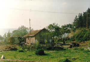 Huğdan Gökdelene (236)