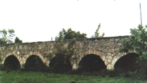 Huğdan Gökdelene (259)