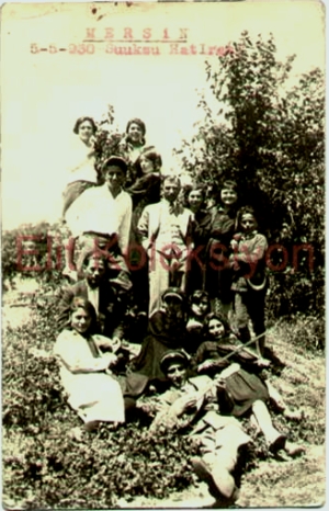 Huğdan Gökdelene (268)