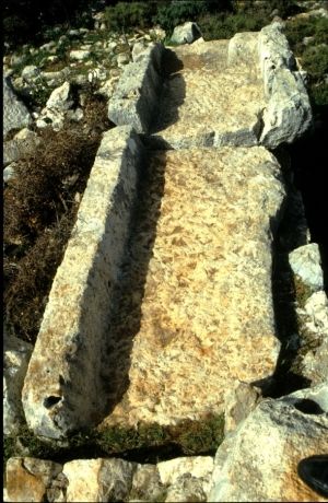 Ya bu sandık mezarlardan kesildiği sanılan taş yalaklar ne amaçla kullanılıyordu ?