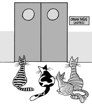 MERSİN DEVL. HAST. 195