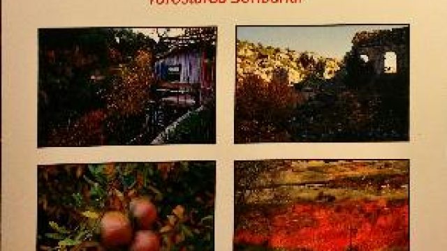 Berdan-Karagöz.jpg