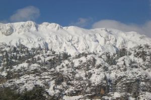 Bolkar.jpg