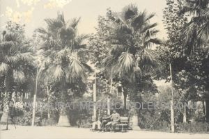 Mersin-Çicek-Bahcesi-4.jpg